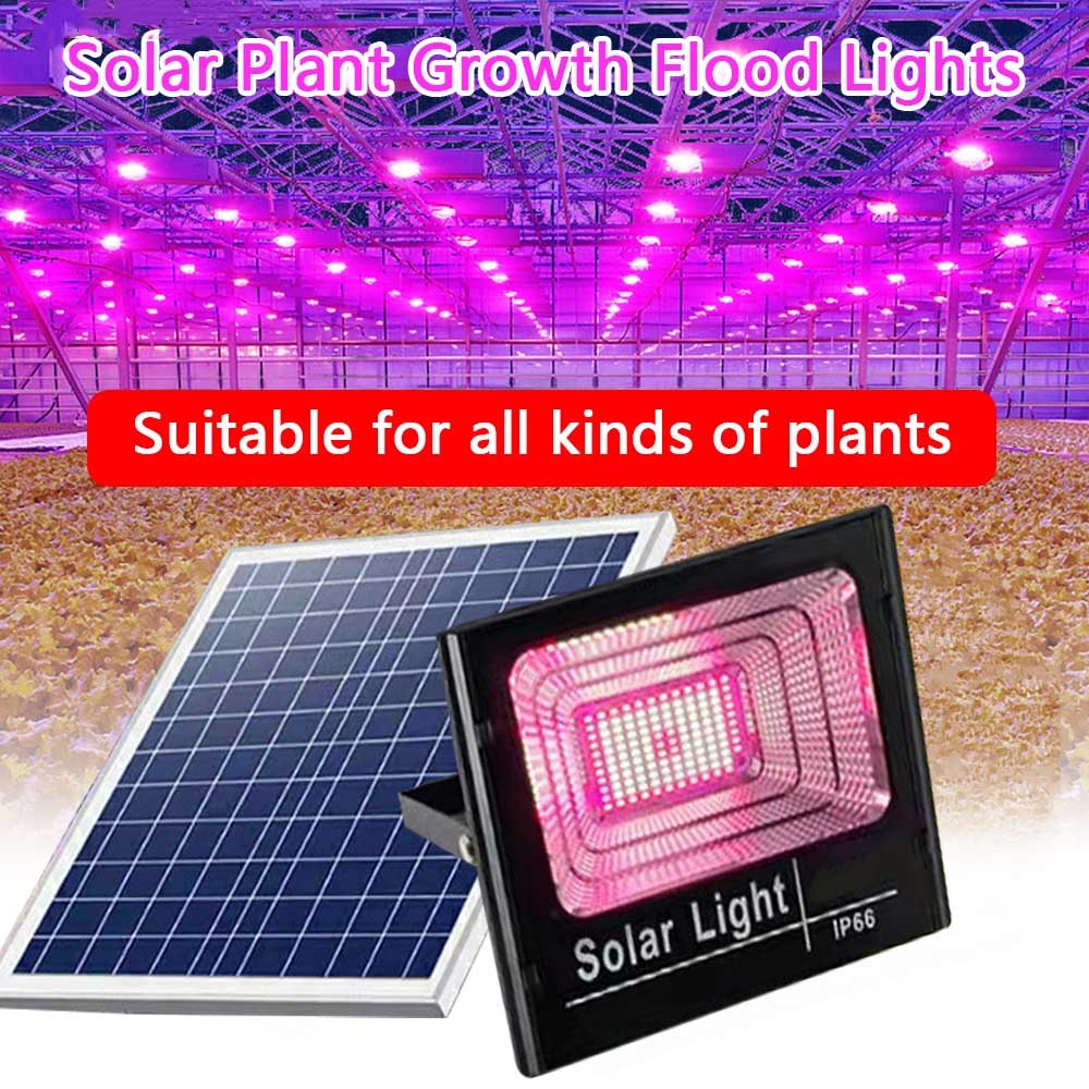 Outdoor Power And Plant - Güneş LED büyümek işık tam spektrum