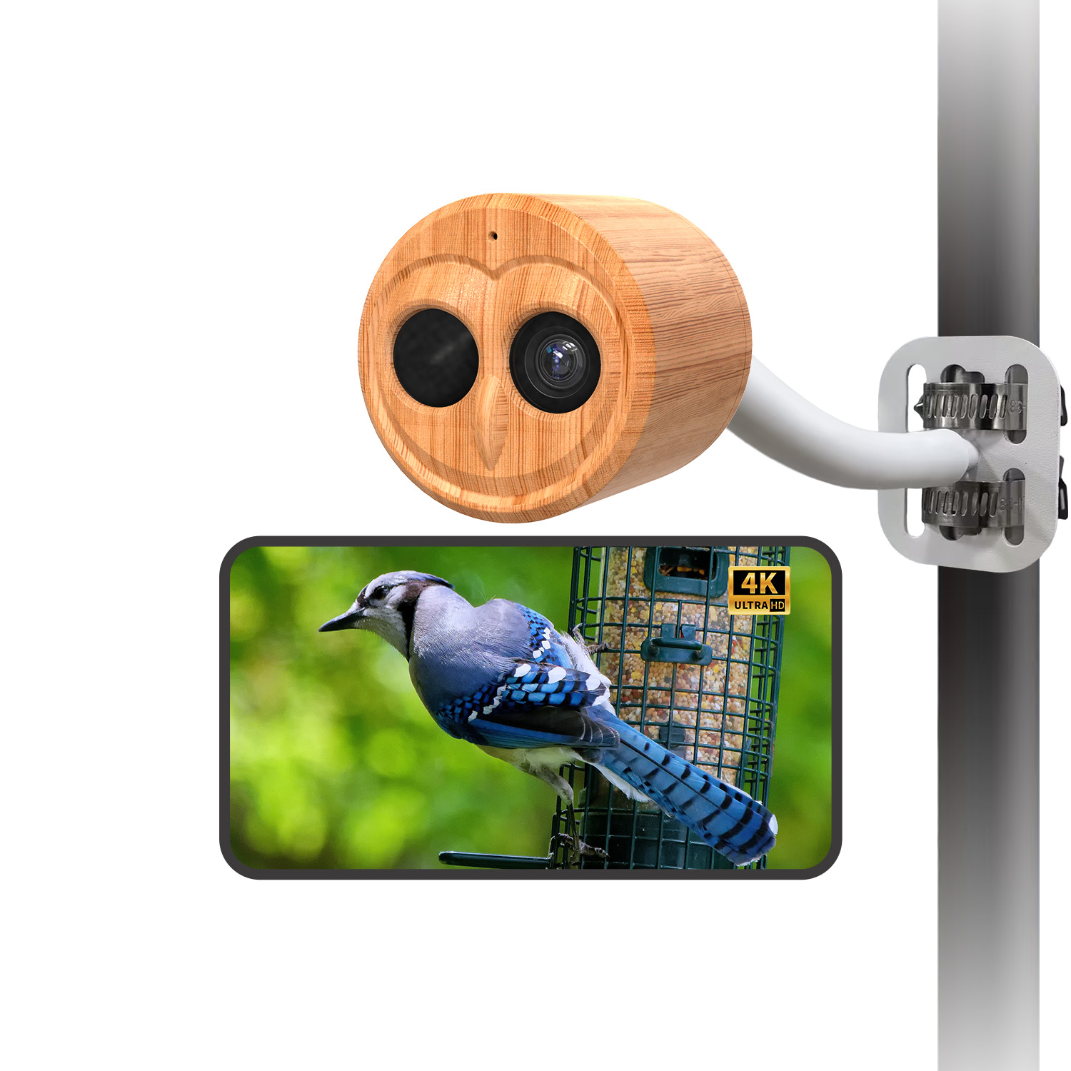 4K Akıllı Kuş Besleyici, Kamer - Power Outdoor incelemesi ve fiyatı