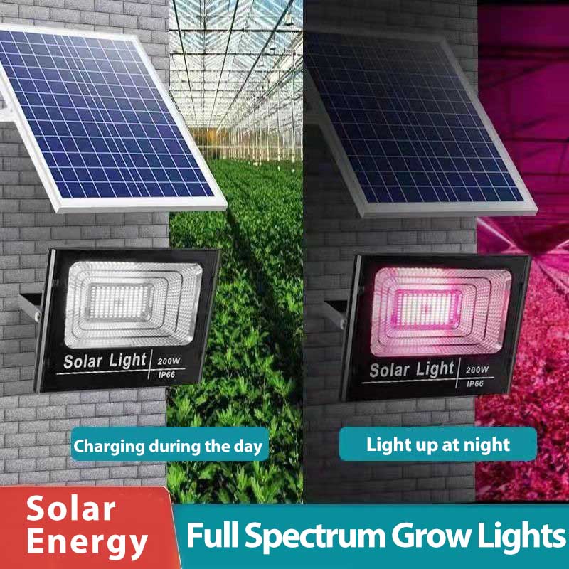 Güneş LED büyümek işık tam spe - Outdoor Power And Plant incelemesi ve fiyatı