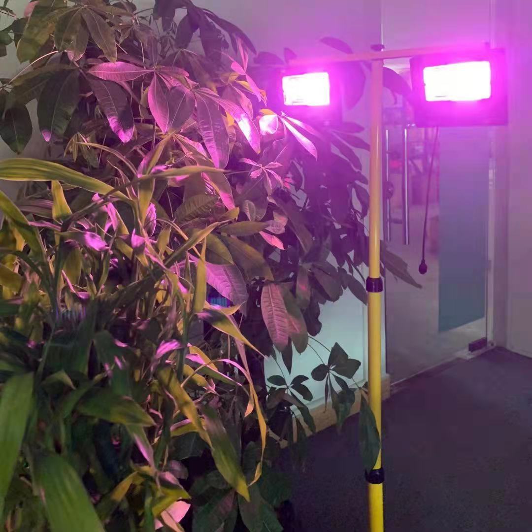 Güneş LED büyümek işık tam spe - Outdoor Power And Plant incelemesi ve fiyatı