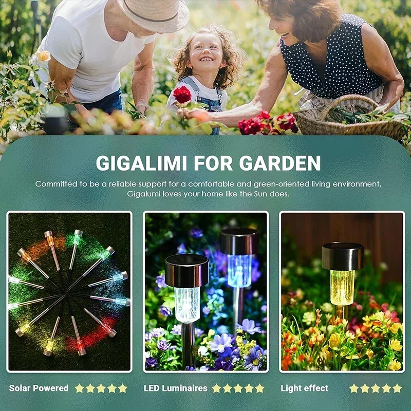 Güneş Enerjili Dış Mekan Işıkl - Outdoor Power And Plant incelemesi ve fiyatı